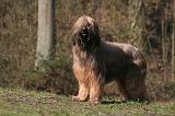 BRIARD 055